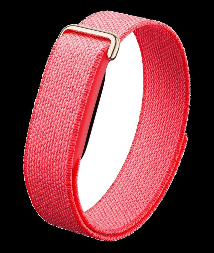 Google Fitbit Air —